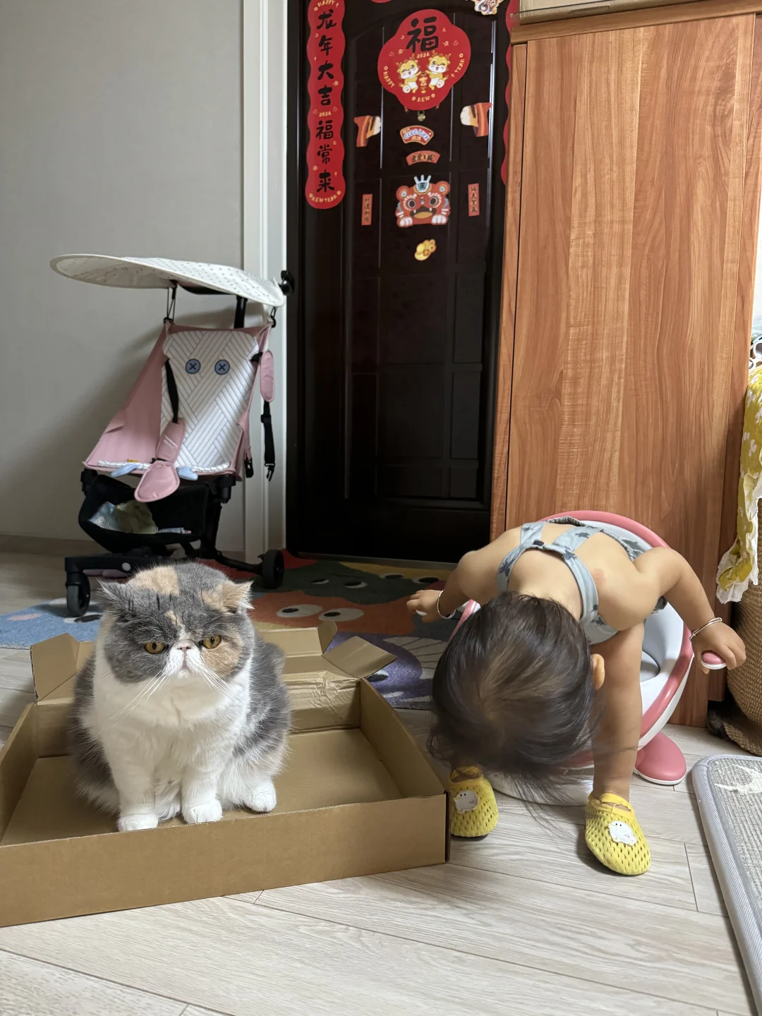 敌不动我不动