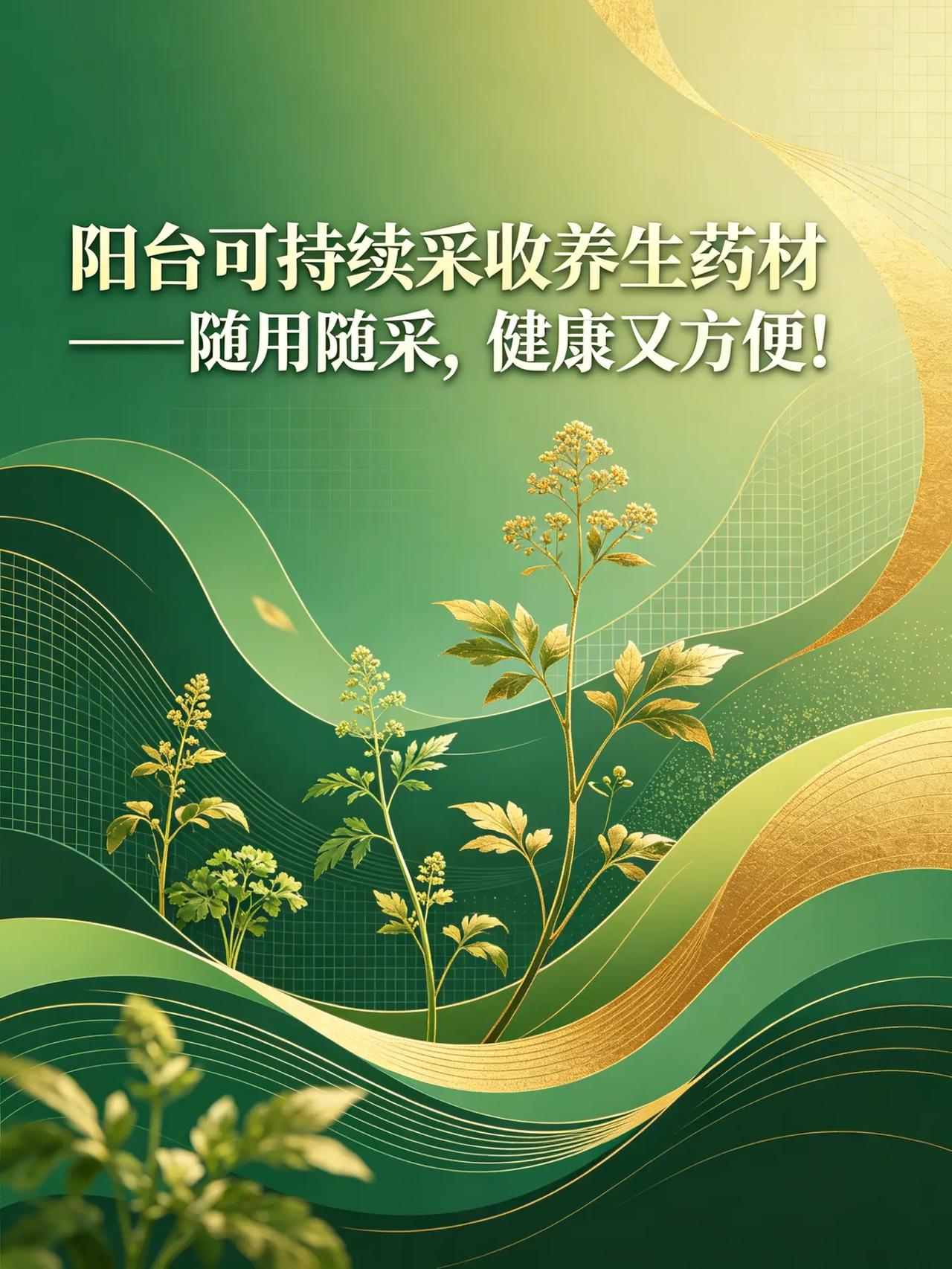 阳台可持续采收养生药材，随用随采健康方便。阳台种植 养生
