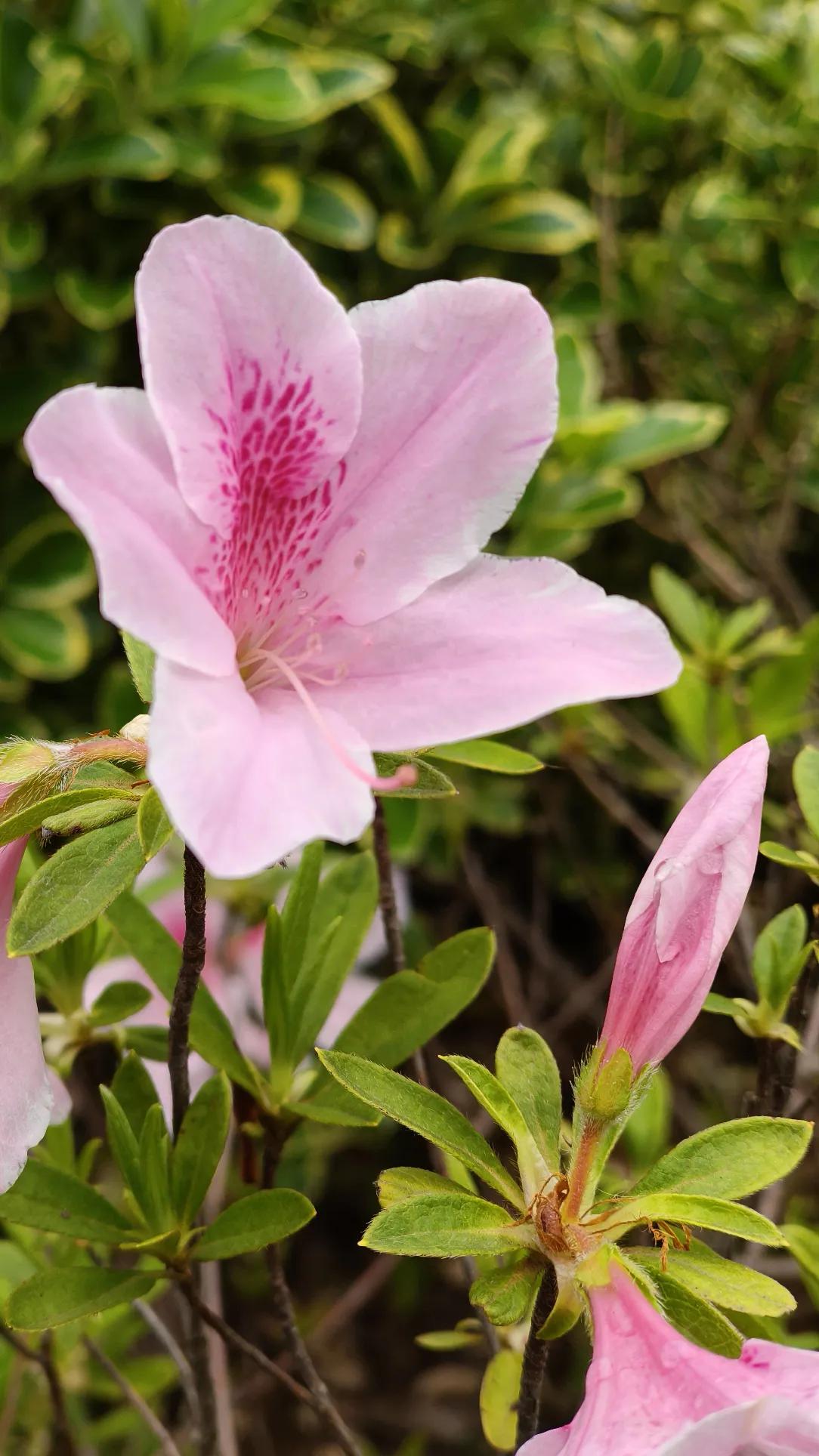 工作量越来越繁重，质量要求越来越高，罚款还成倍增长，打工人该如何抉择？
我从事保