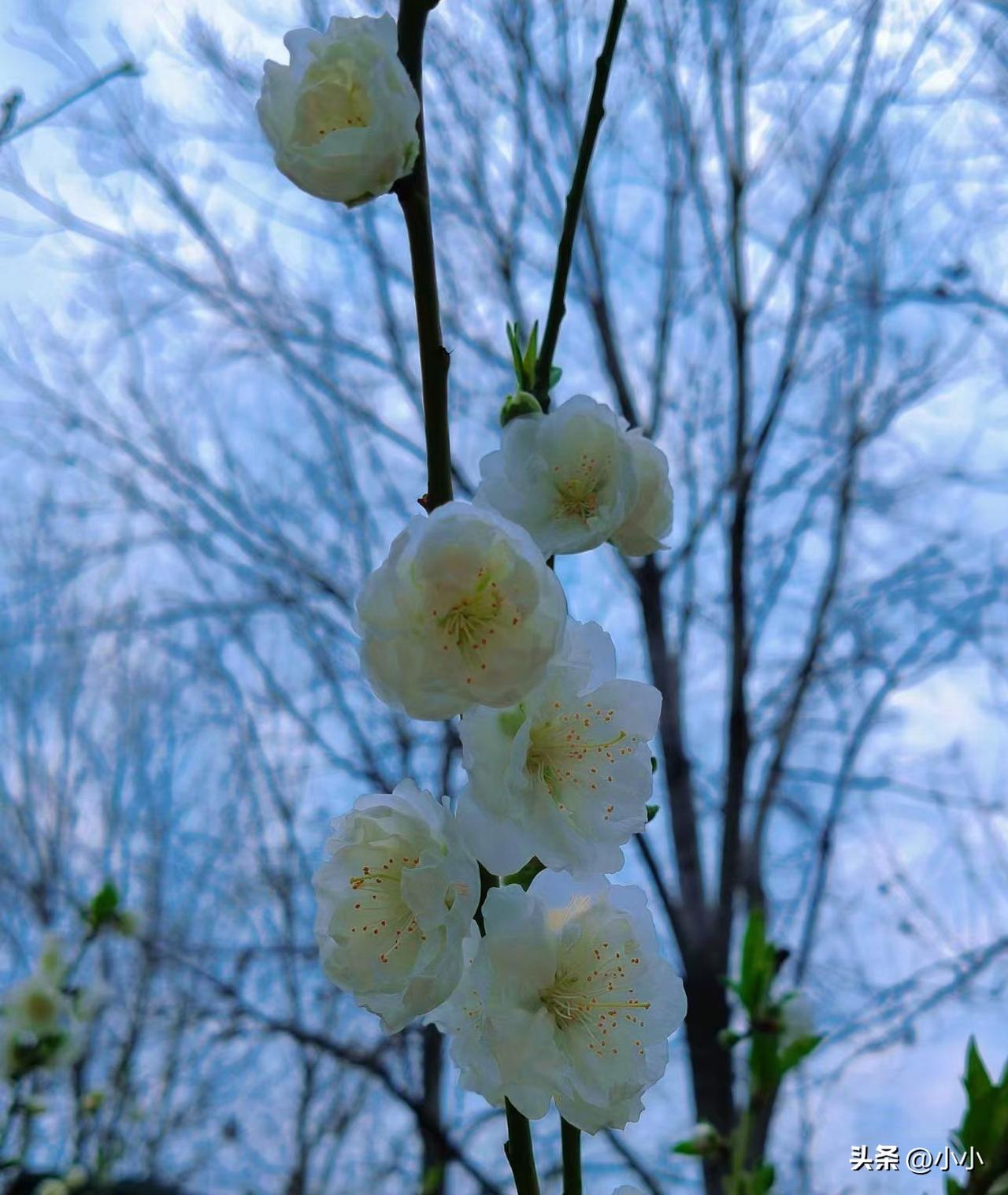 慢慢才知道，
 不再逢人就说苦，
以前心里一不舒服，就总想找人倾诉，跟这个说，跟