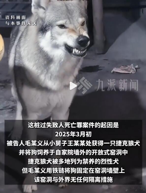 捷克狼犬咬死了2岁女娃，狗主人赔偿25万元并获得谅解，然后以“过失致人死亡罪”判