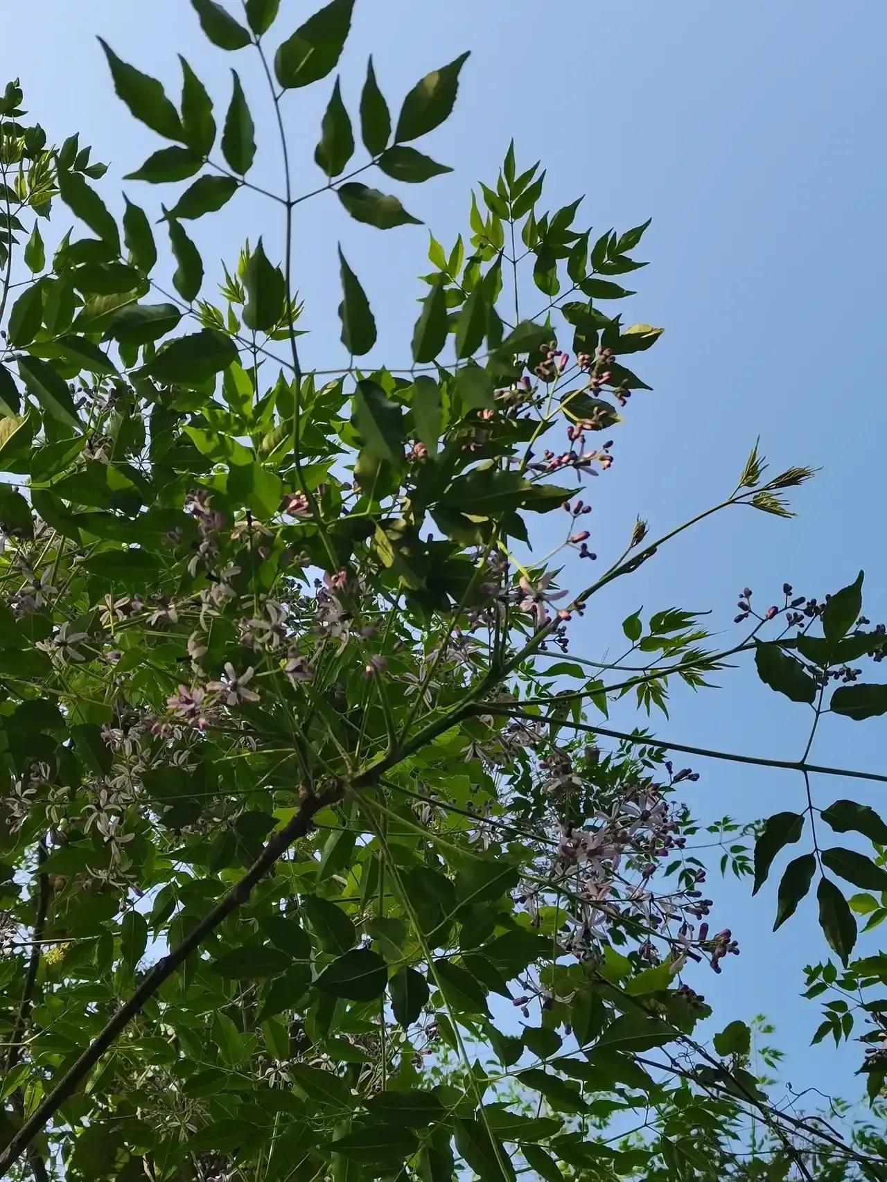 请你对下联
踏春夏秋冬路
沐东西南北风