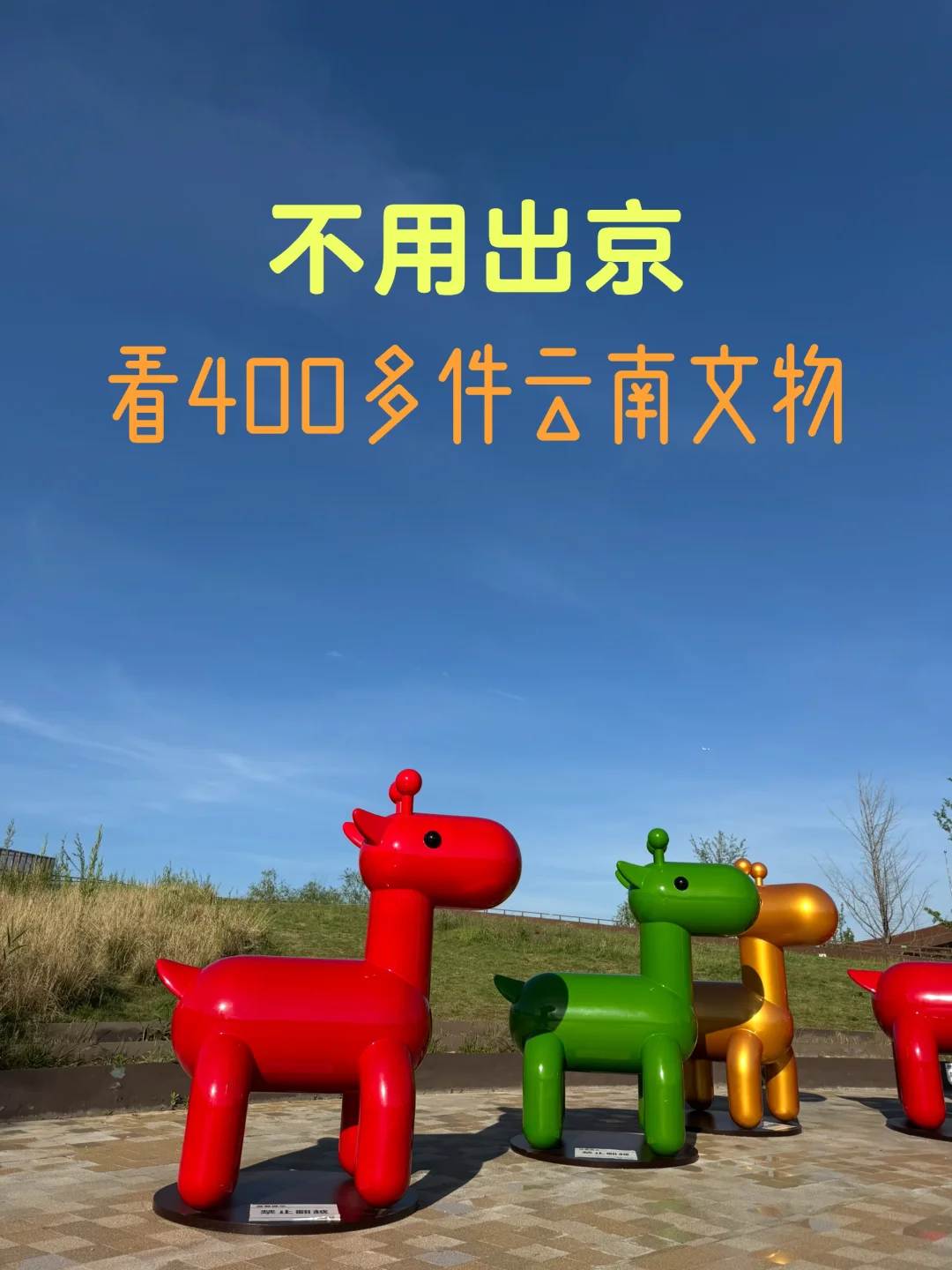 看北京“云南”大展，发现不一样的精彩！