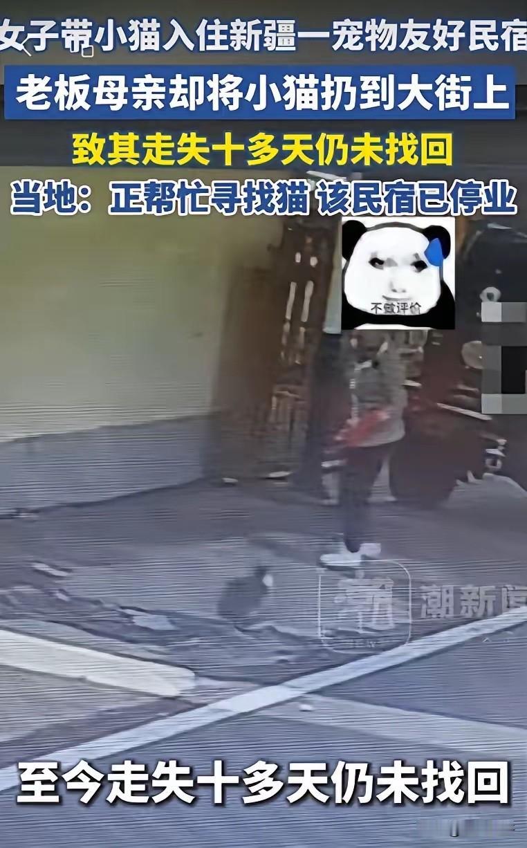 端庄小狗的圆满结局来啦！它已经被领养了，不仅成功找到家，领养人还很善良，为了不让