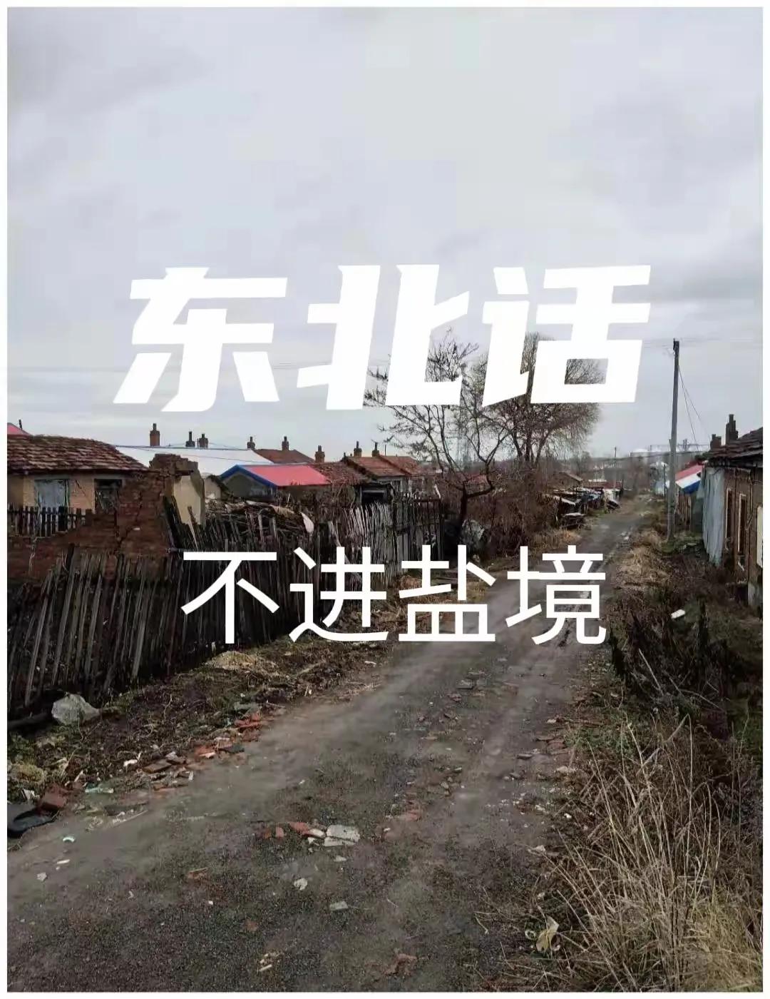 我发现和东北朋友聊天

有一句话始终弄不明白

什么叫不进盐境？

有一次和东北