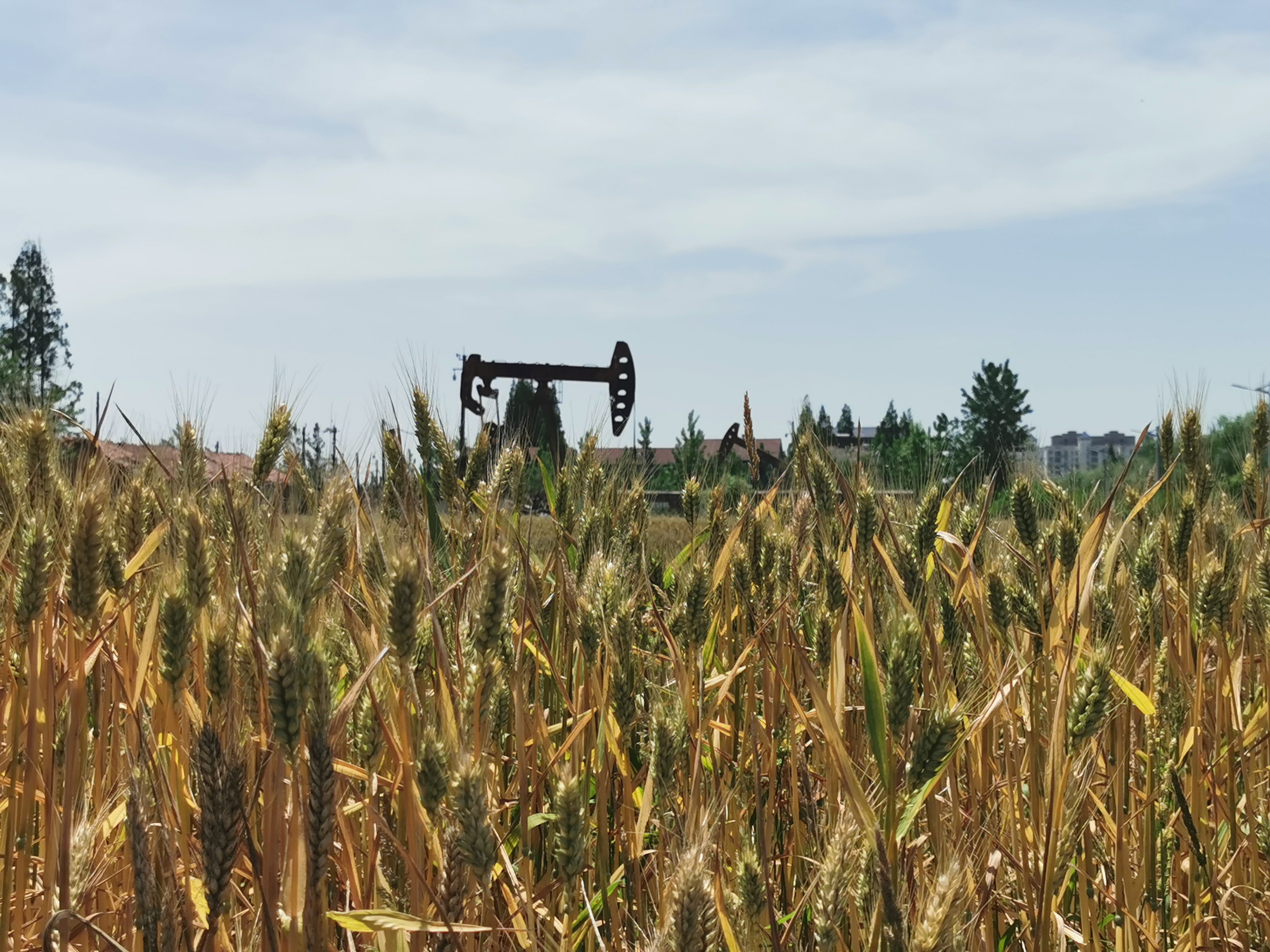 劳动节快乐～ ​​​