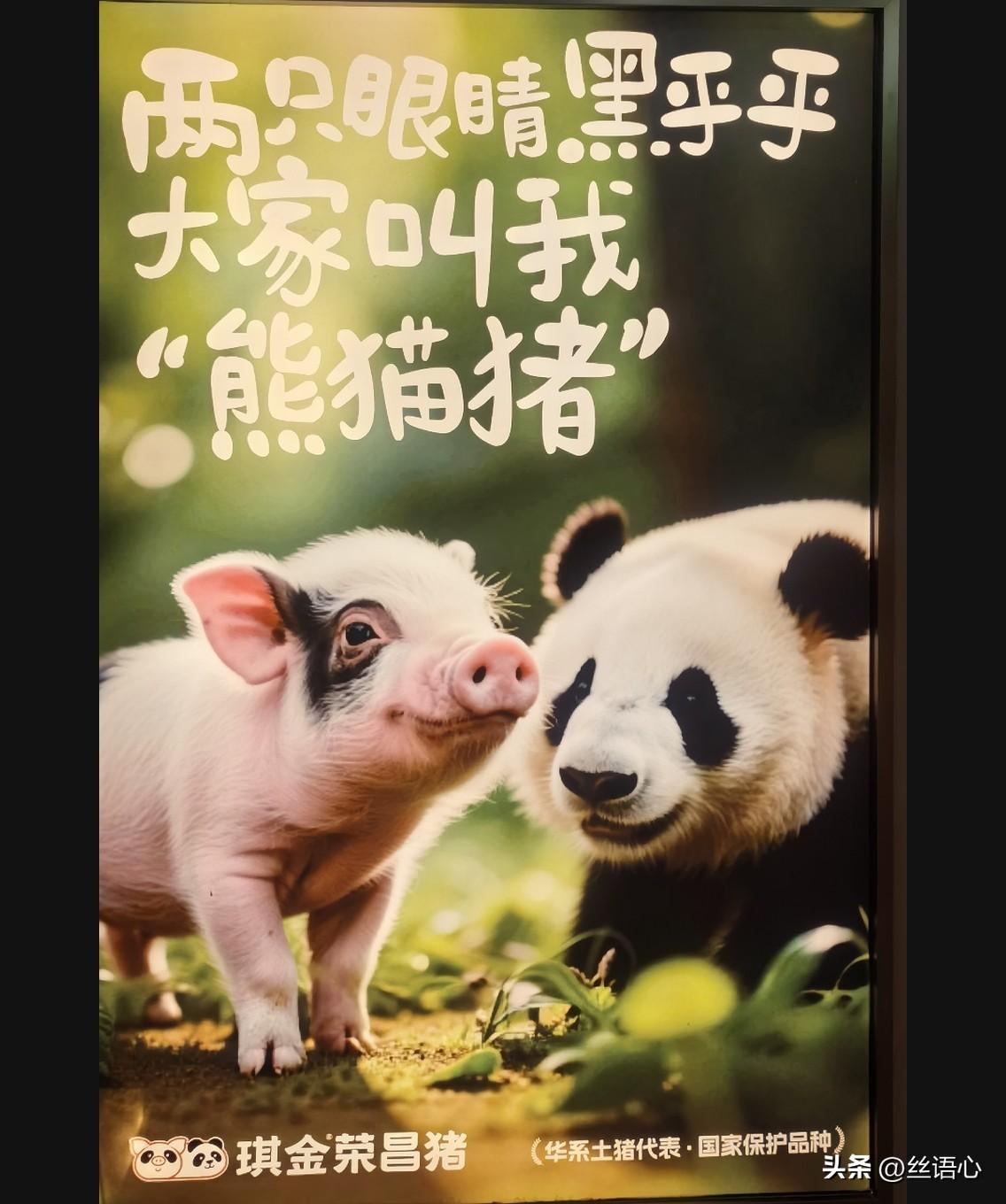 我们驱车两小时终于到了荣昌。这次去的目的是—吃猪肉。[呲牙]
吃了一辈子的猪肉，