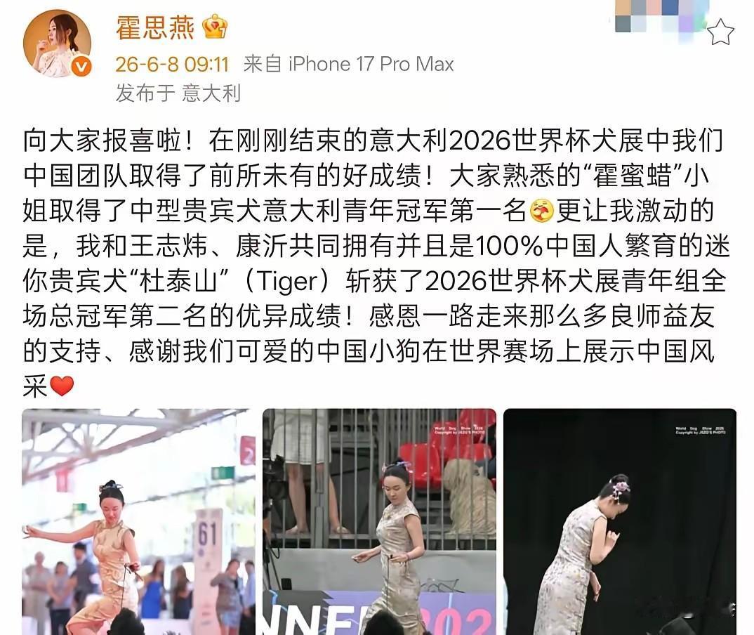 霍思燕一大早激动的报喜，原来是自家贵宾犬“霍蜜蜡”在意大利世界杯犬展上大放异彩啦