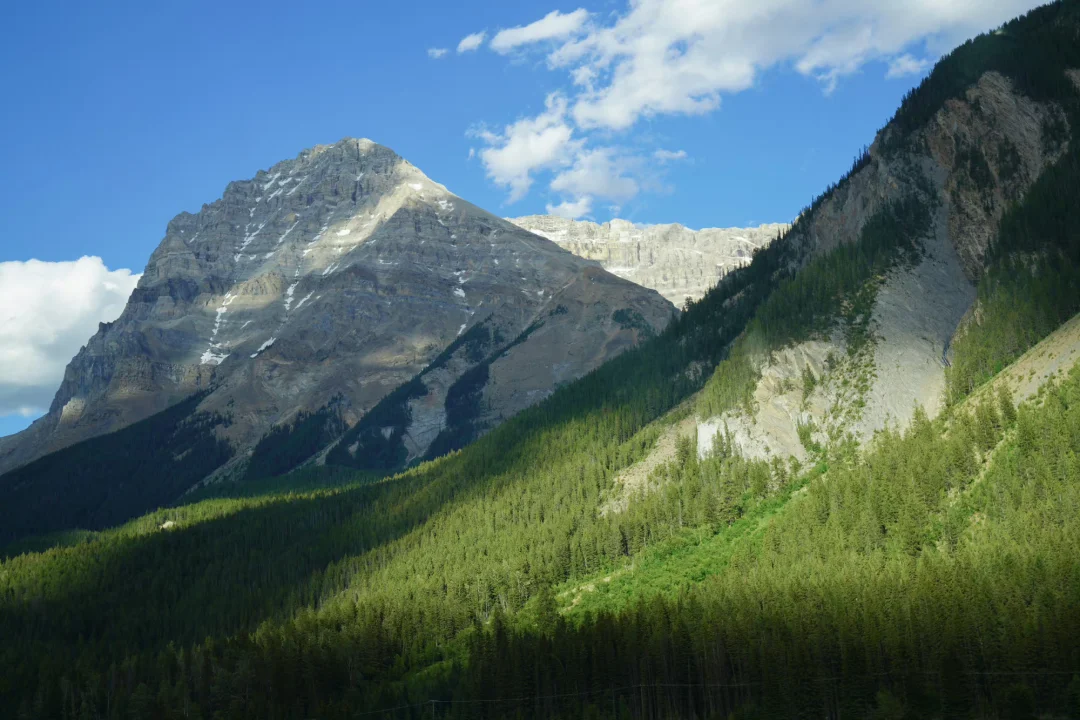 如果已经到达退休年龄，又想被返聘的话，一般和雇主走什么流程？