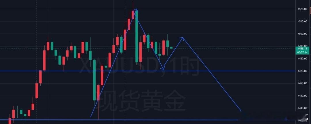 12.24黄金晚间黄金短线见顶信号凸显，4490果断反手空早盘金价冲高至4530