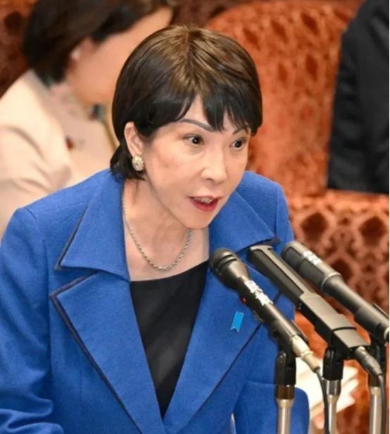 高市早苗的豪赌：2025年中日关系跌宕
2025年秋天，高市早苗上台了，自民党换