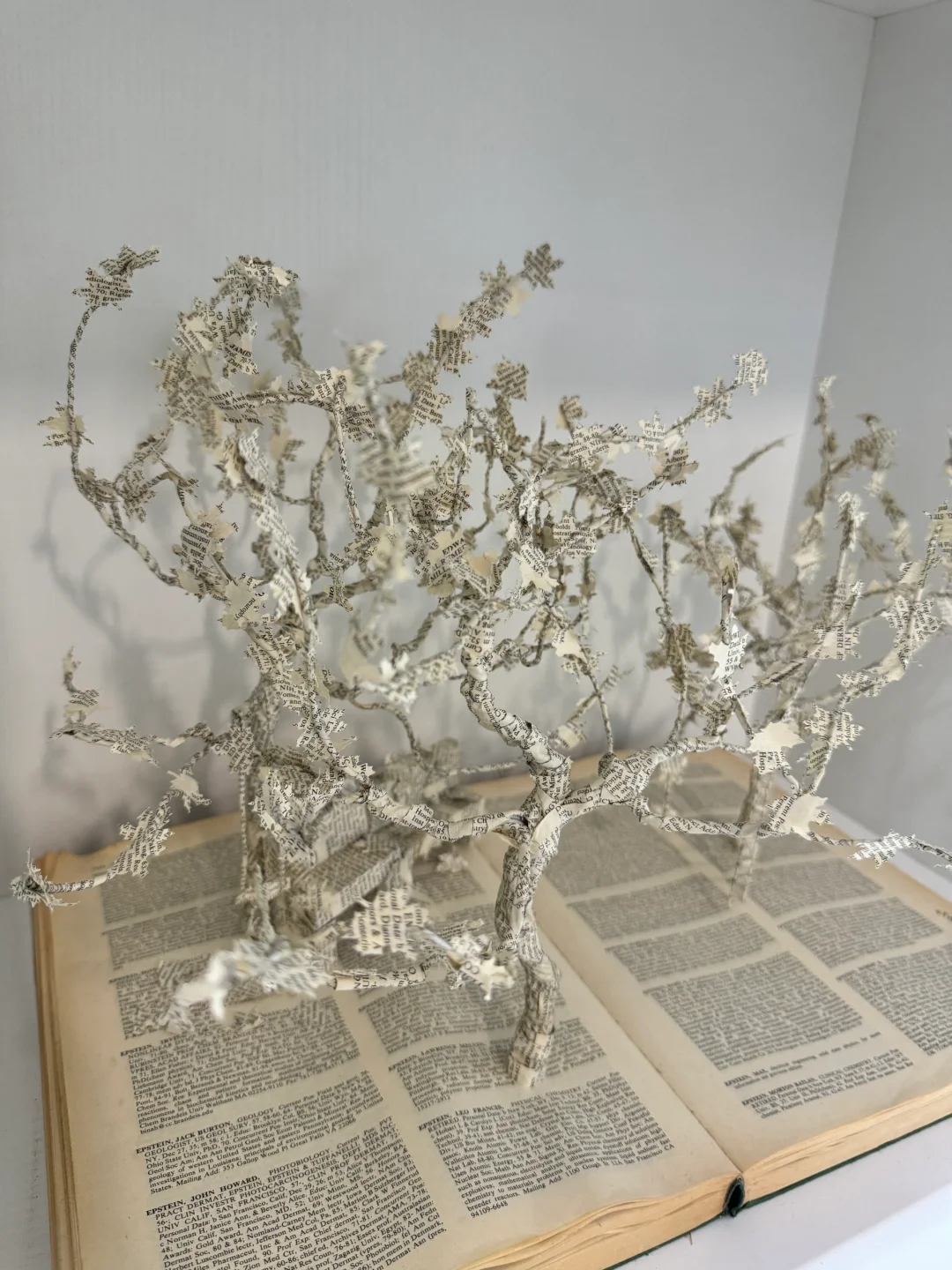 近期艺术展合集