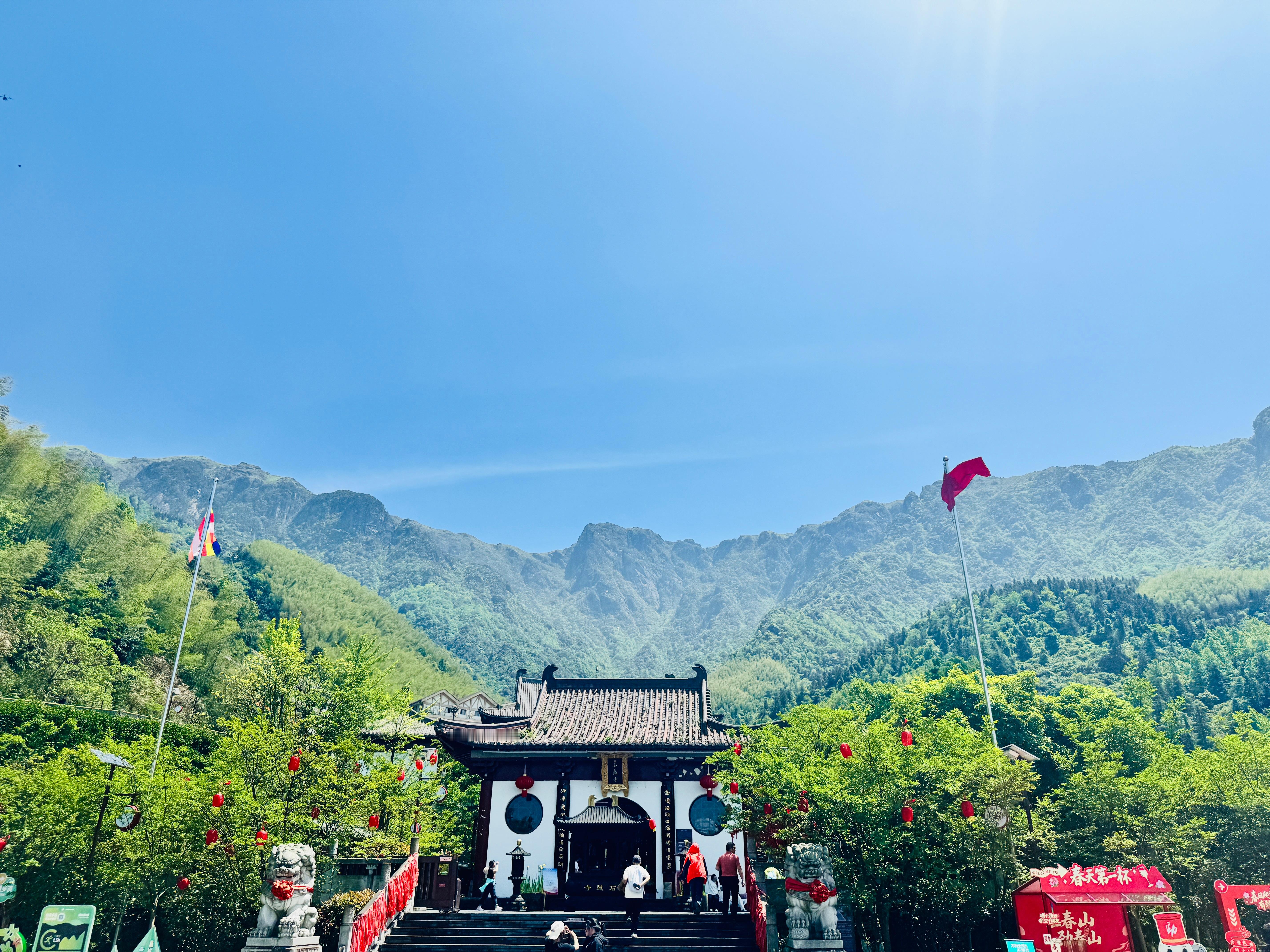 4小时后见