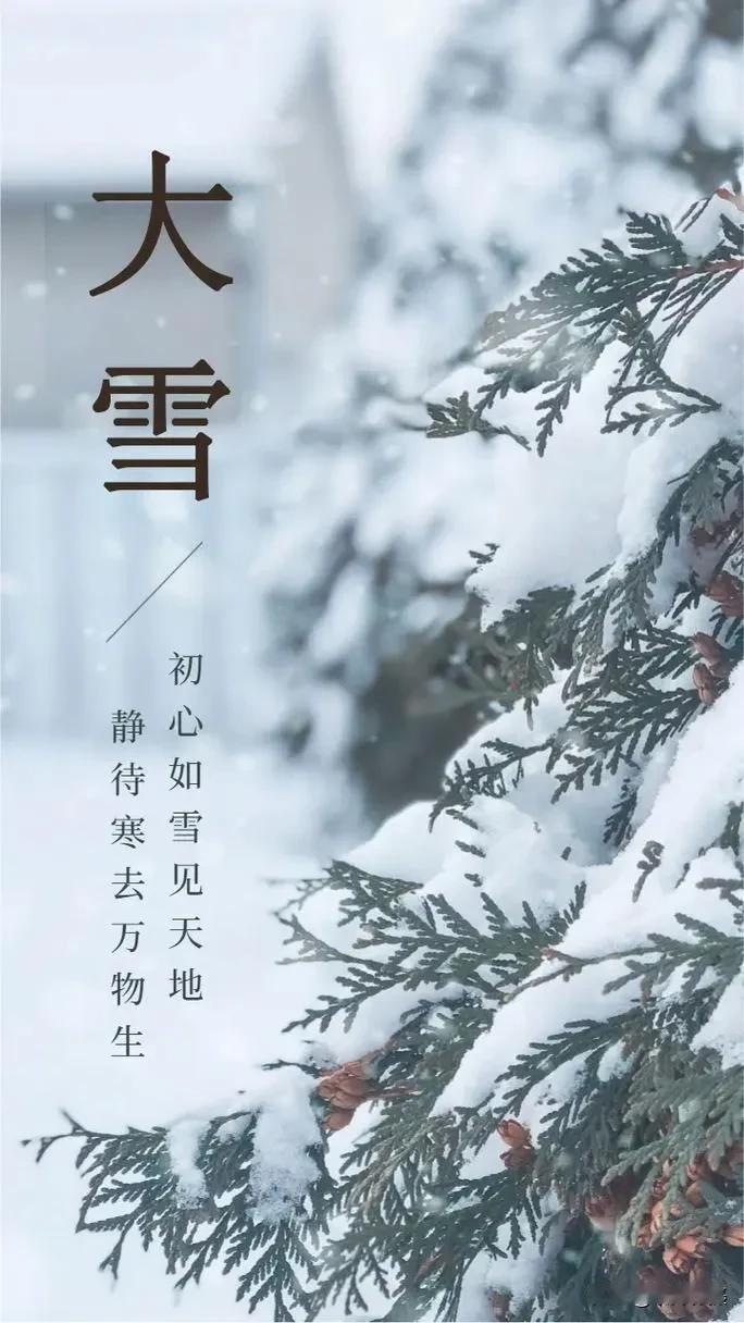 今日，大雪节气翩然而至。《月令七十二候集解》云：“大雪，十一月节。大者，盛也。至