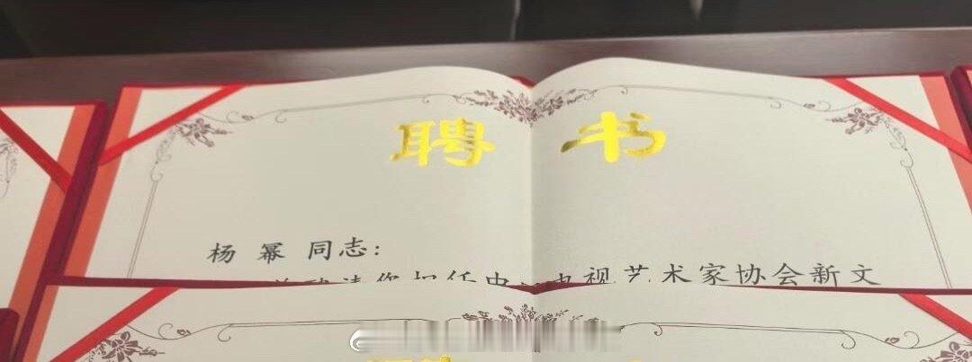 中国电视艺术家协会新文艺组织和新文艺群体工作委员会换届，杨幂当选副会长是杨幂收获