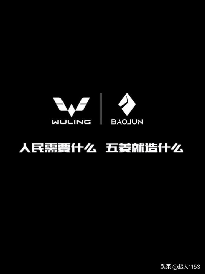 我们大家看一下在2005年的全年国内车企的零售销量含（合资）：上汽通用五菱销售量