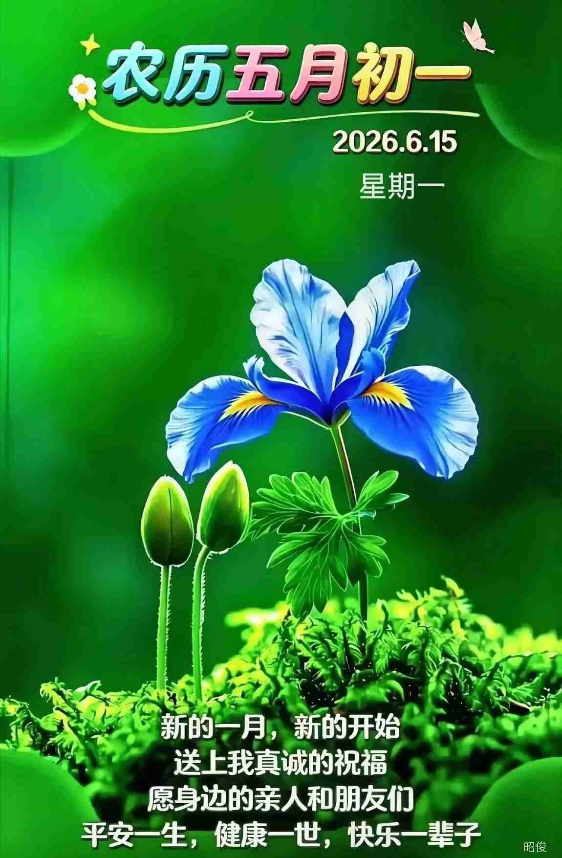 我的今日状态：🥲强颜欢笑
我这里的天气：🌧下雨