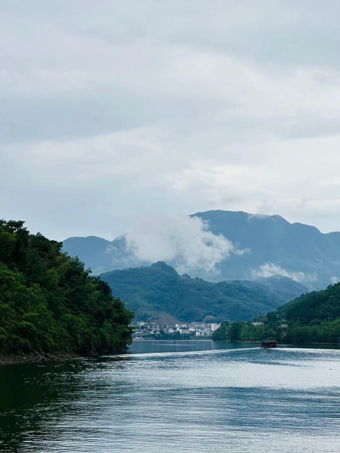 集卡领红包马年元宵喜乐多！花灯映笑脸，汤圆暖人心。愿你马不停蹄赴美好，一马当先迎
