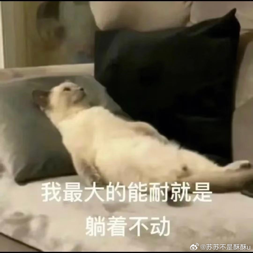 在家吃饭可以懒到什么程度吃饭全靠外卖和速食，餐具能省则省，吃完直接放一边。主打一