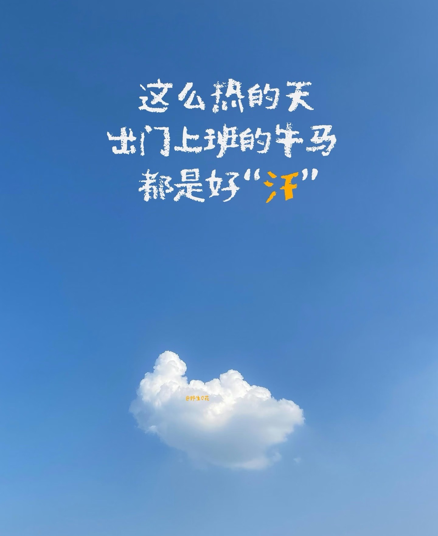 暑气逼人，出门直接原地融化🫠 