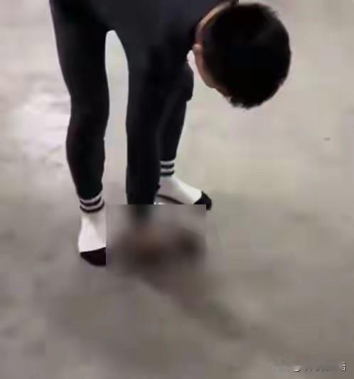 我怀疑过学生违规养宠不符合校园规定，也觉得学校该有管理边界，但是当看到学生抱着小