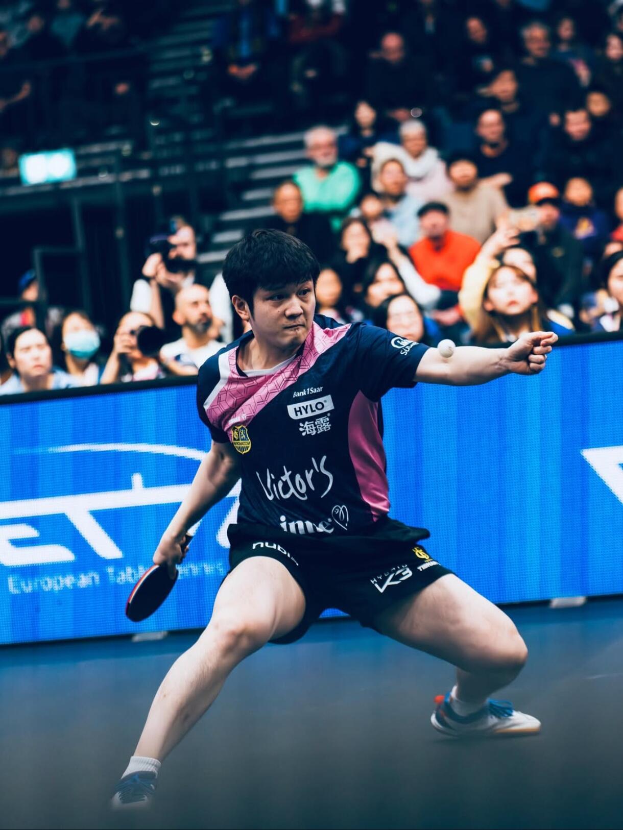 樊振东  不负热爱，不负时代 