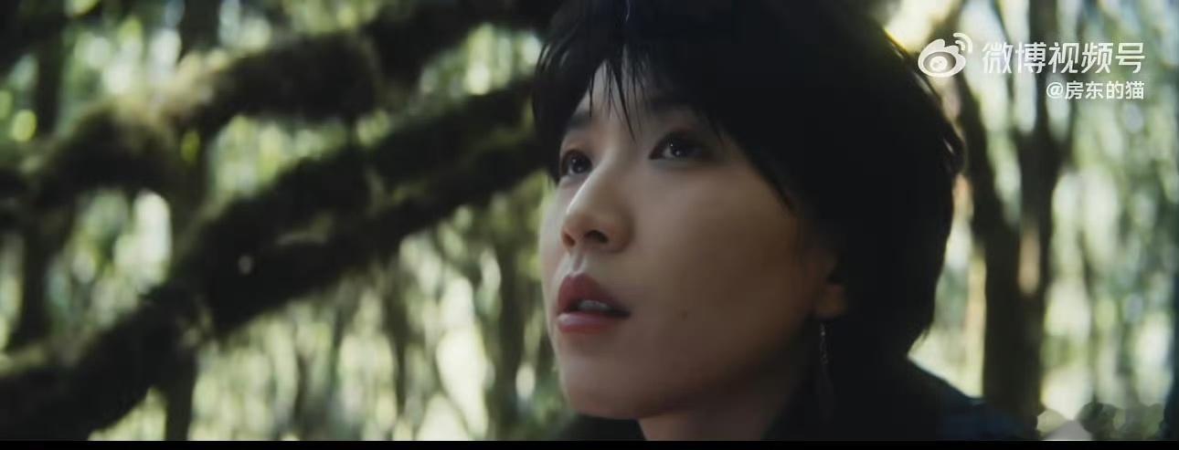 房东的猫新专辑不擅生长的树 概念片的治愈感太顶了，简单干净的旋律，温柔治愈的内核