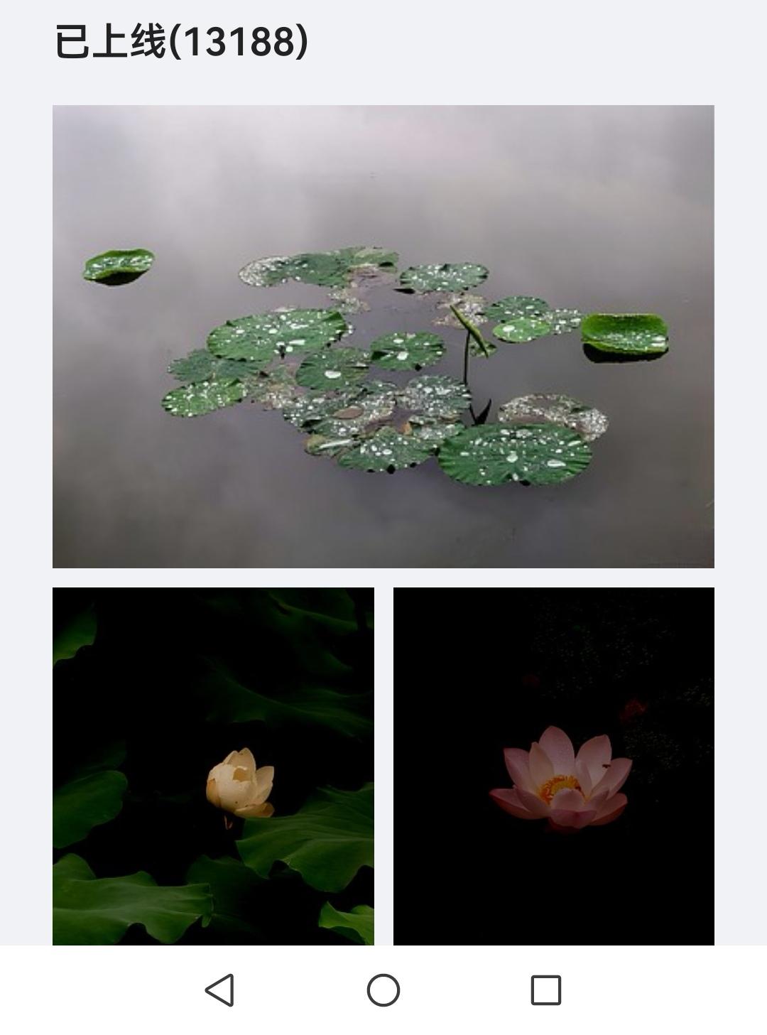 视觉中国已经上线13188张照片，特存谢。视觉中国&500px 视觉中国