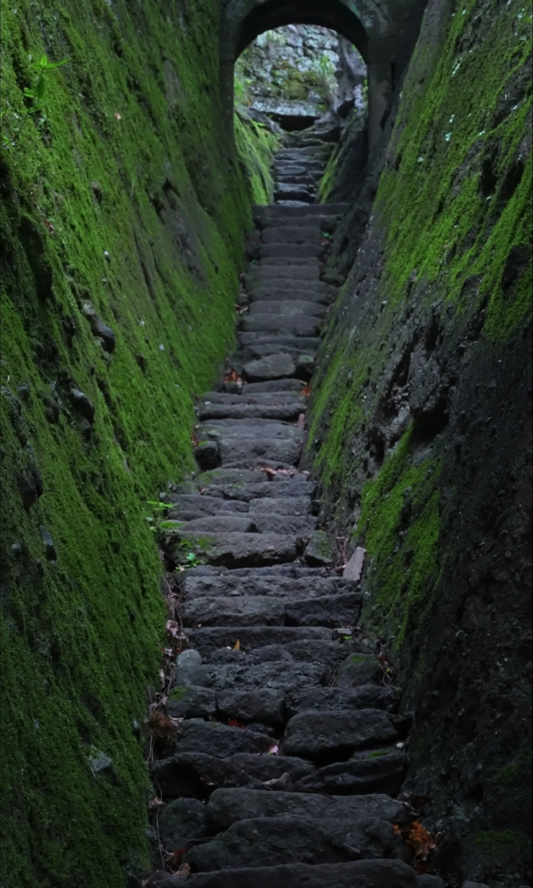 绿色之歌｜森林、古道、苔藓、石塔、廊桥