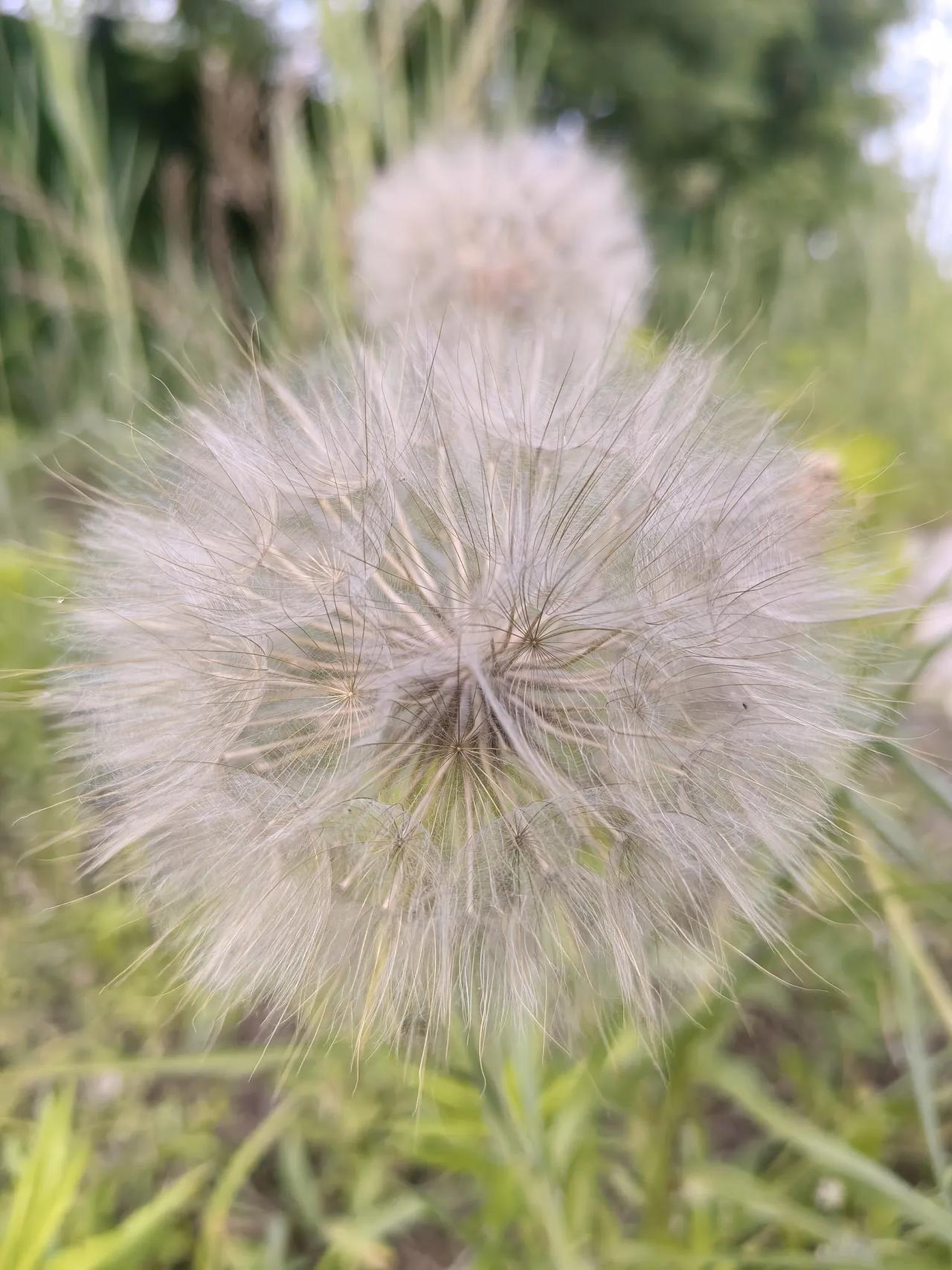 昨天多年不见的女人打电话给我，叙旧，问现在做什么。以前我们都做某公司直销，在一个