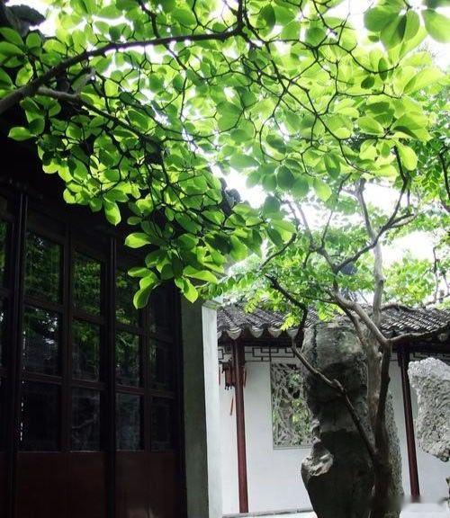 心里话         心小了事事皆大事，心大了大事皆小事。凡事看淡，放下执念，