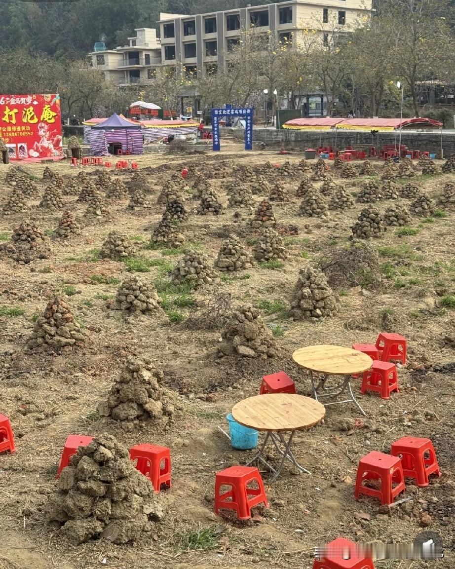 把窑鸡干成了“产业化项目”
 
在广东信宜的空地上，我直接看傻了——上百个泥庵密