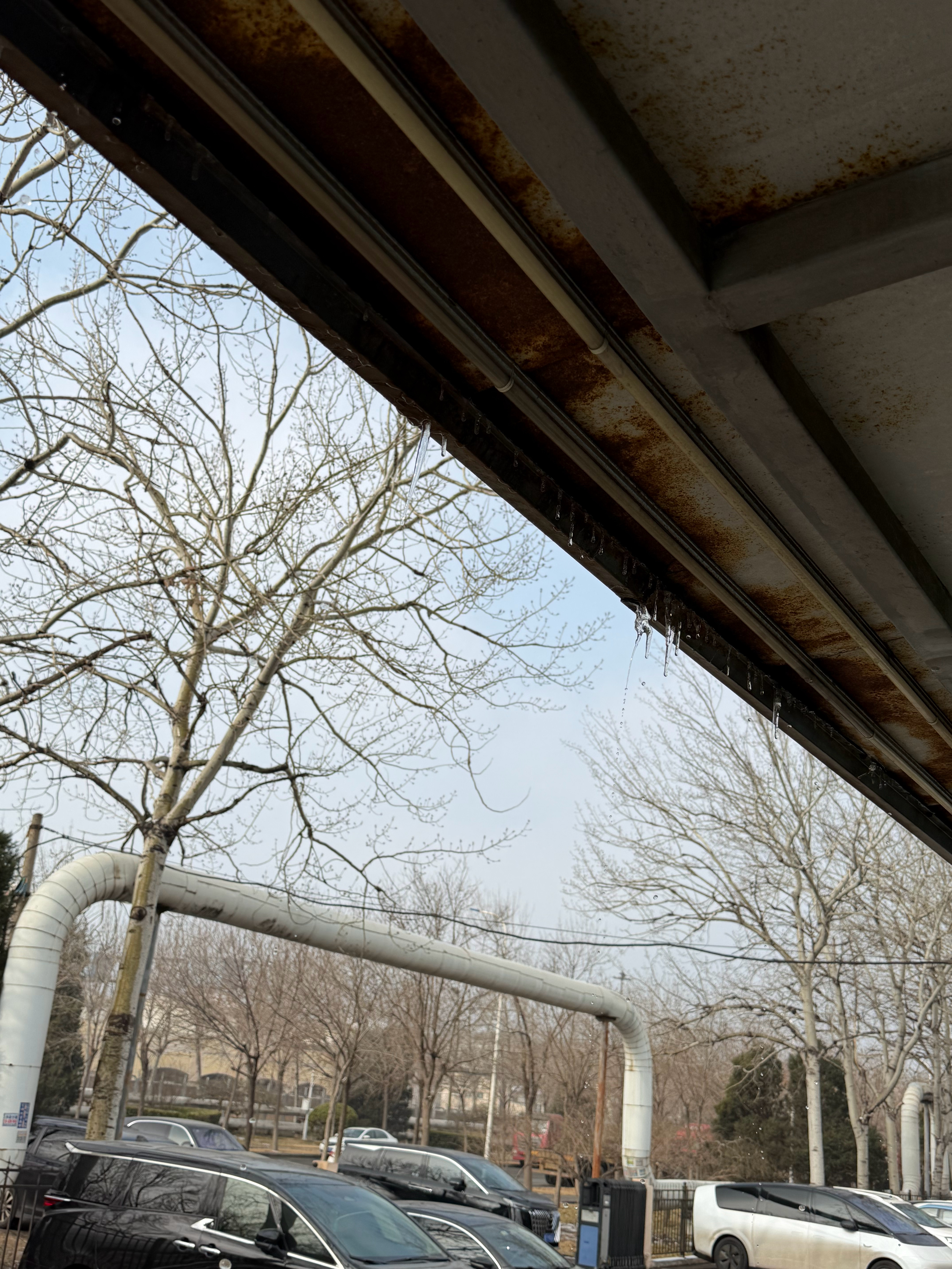 雪后就是，哗哗的消雪听声音和下雨一样 天津·中国天津自由贸易试验区