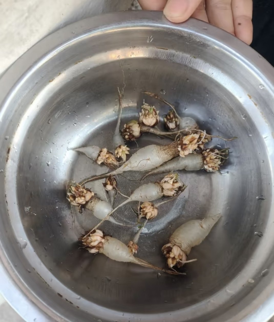 这个是什么东西？有几个人知道的？看着晶莹剔透，拿在手上把玩甚是喜欢 ​​​