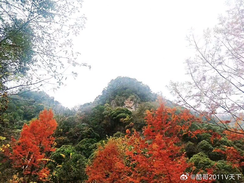 房县 门古寺镇土城村关于虎头岩的民间传说故事十堰爆料 房县新闻网讯  清朝乾隆年
