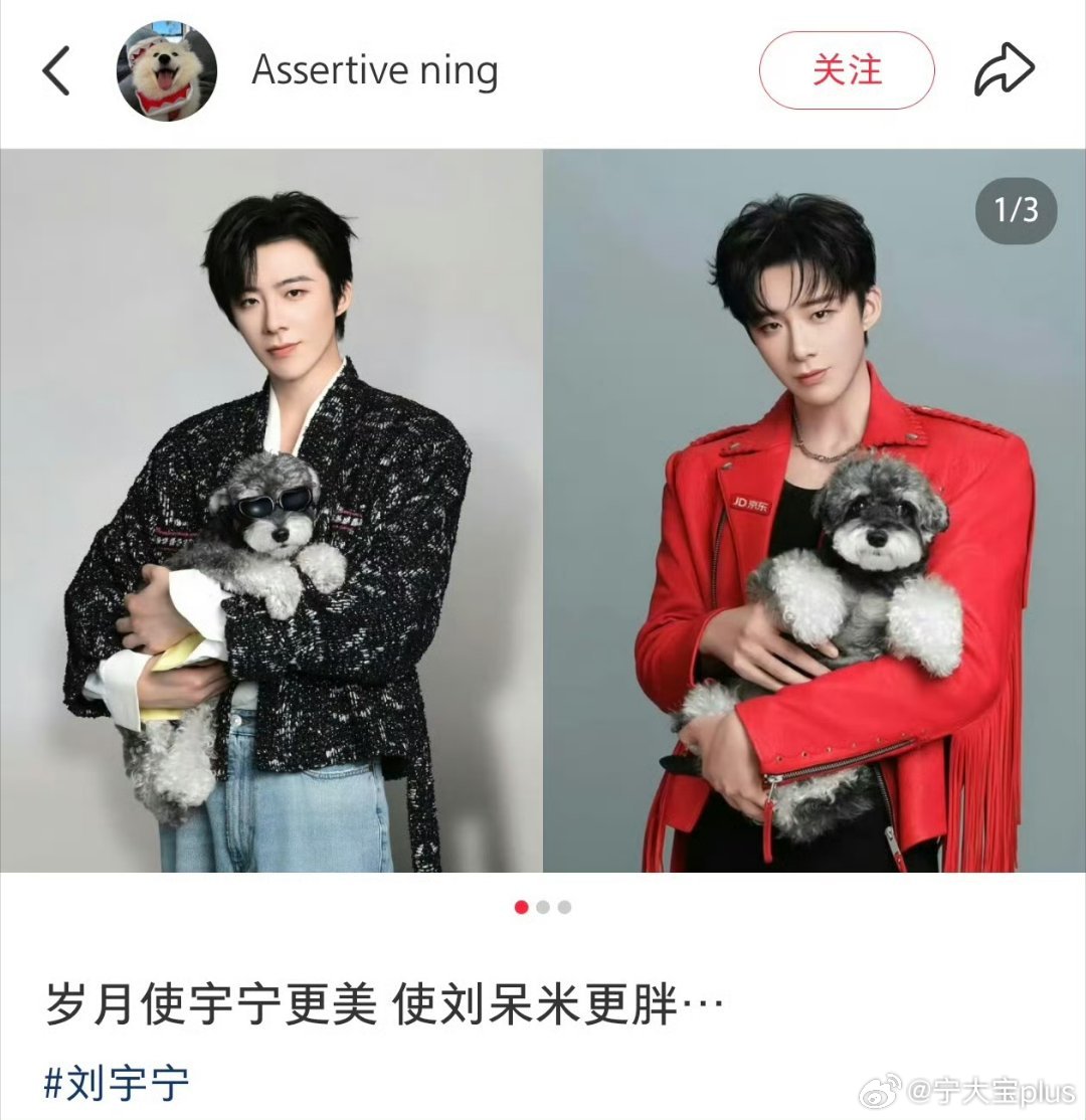 刘呆米[超话]刘呆米 虽然…但是…你还别说 ……还真是肉眼可见的变化[偷笑]小呆