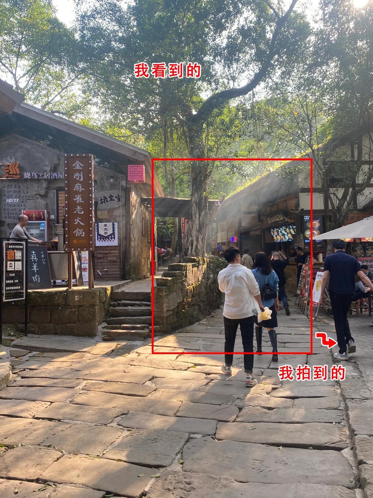 我看到的和拍到的