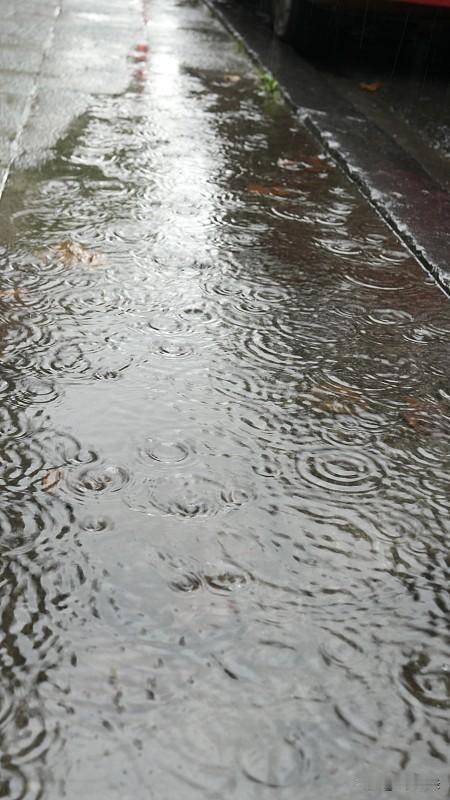 雨
连续下了两夜
现在
还在哗哗地下着
一点也不知疲倦
冷冷的雨
降温了空气
出