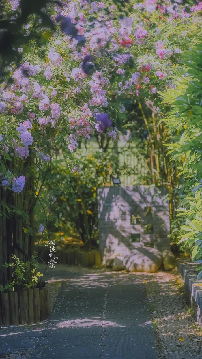 倒垂柳·闲居
文/莲花书院

夏深空院寂，小窗幽、蝉噪静。
芭蕉休剪叶，斑竹碎帘