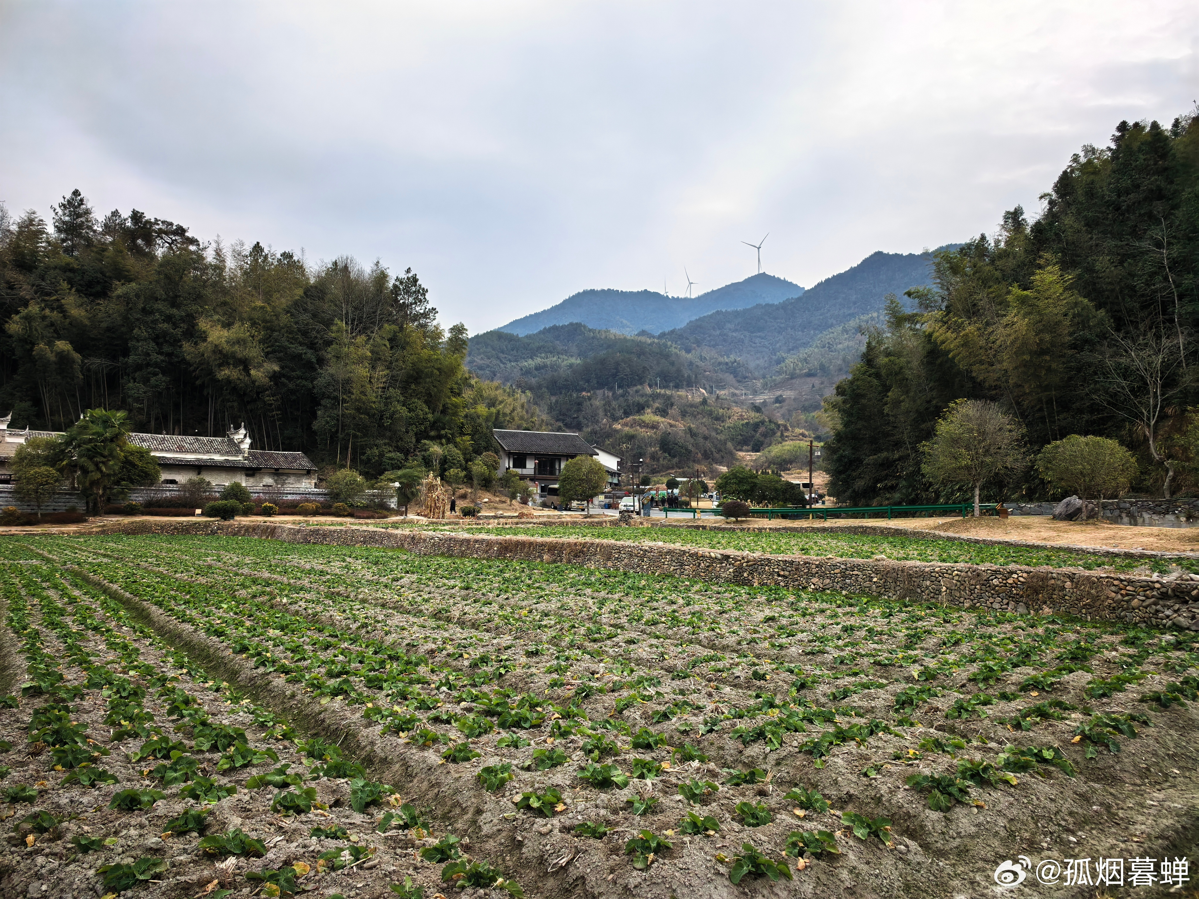 陈门五杰故里  位于宁州镇竹塅村，国家AAAA级旅游景区。“陈门五杰”是人们对修