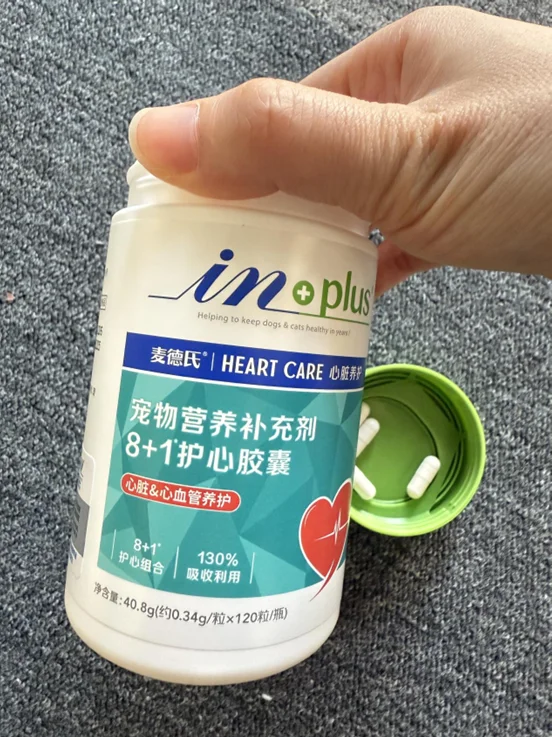 我家狗居然因为胖有了心脏问题.....