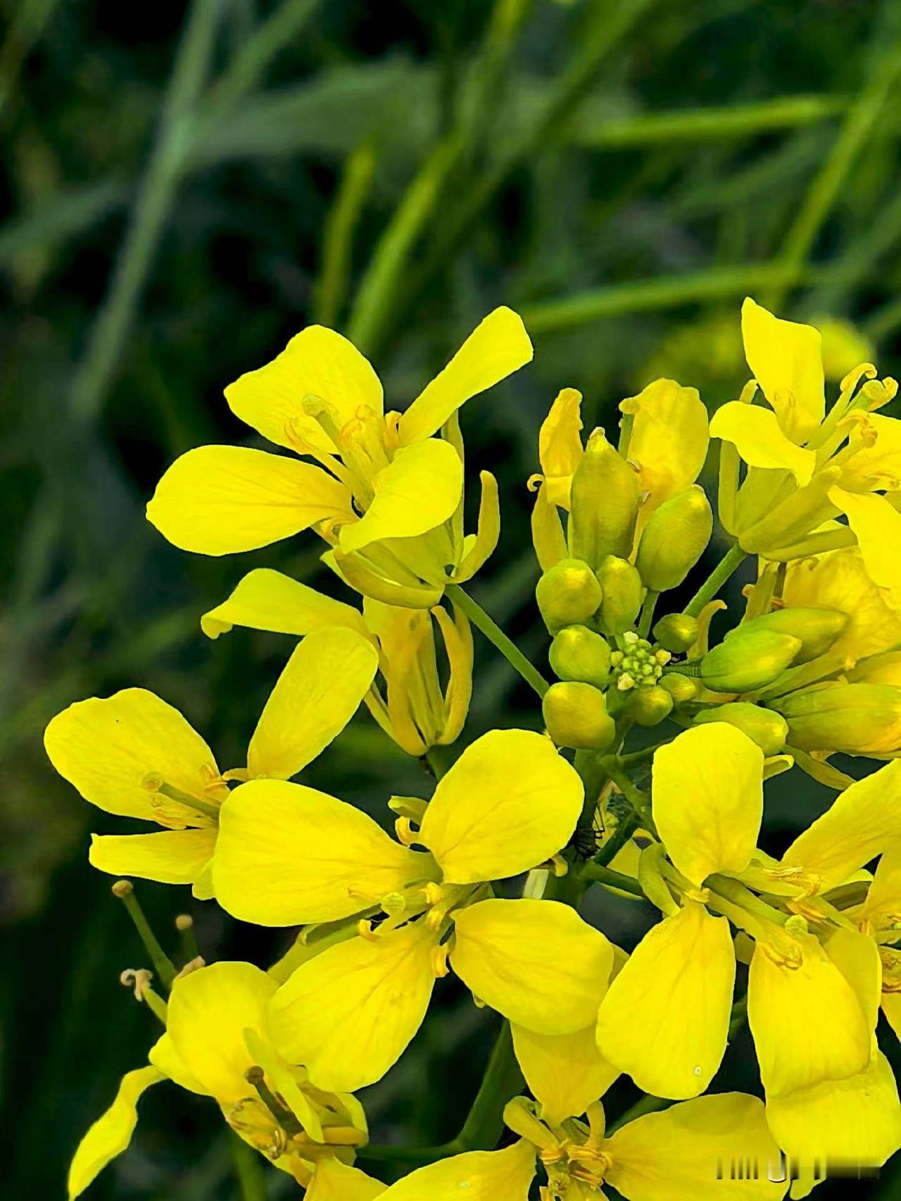 【小对联】
上：……？
下：风云。