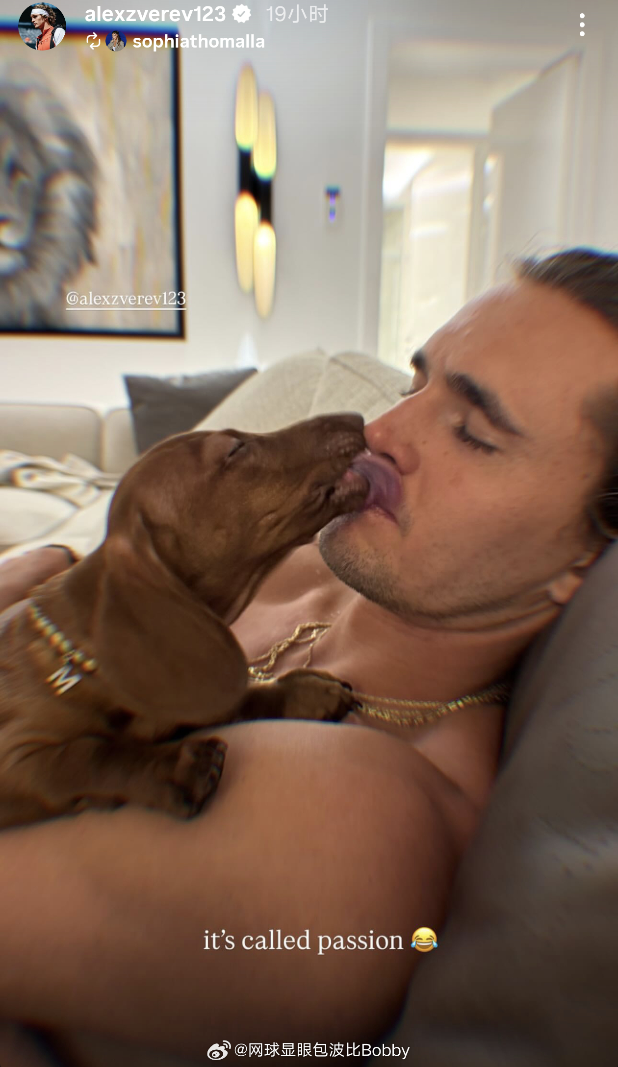 兹维列夫真是很爱自己的爱犬🐶网球talking大会网球ATP