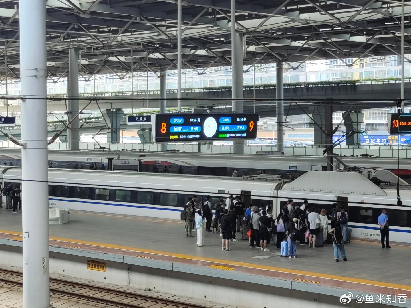 密密麻麻高铁战，杨梅在哪里浙山浙水浙杨梅