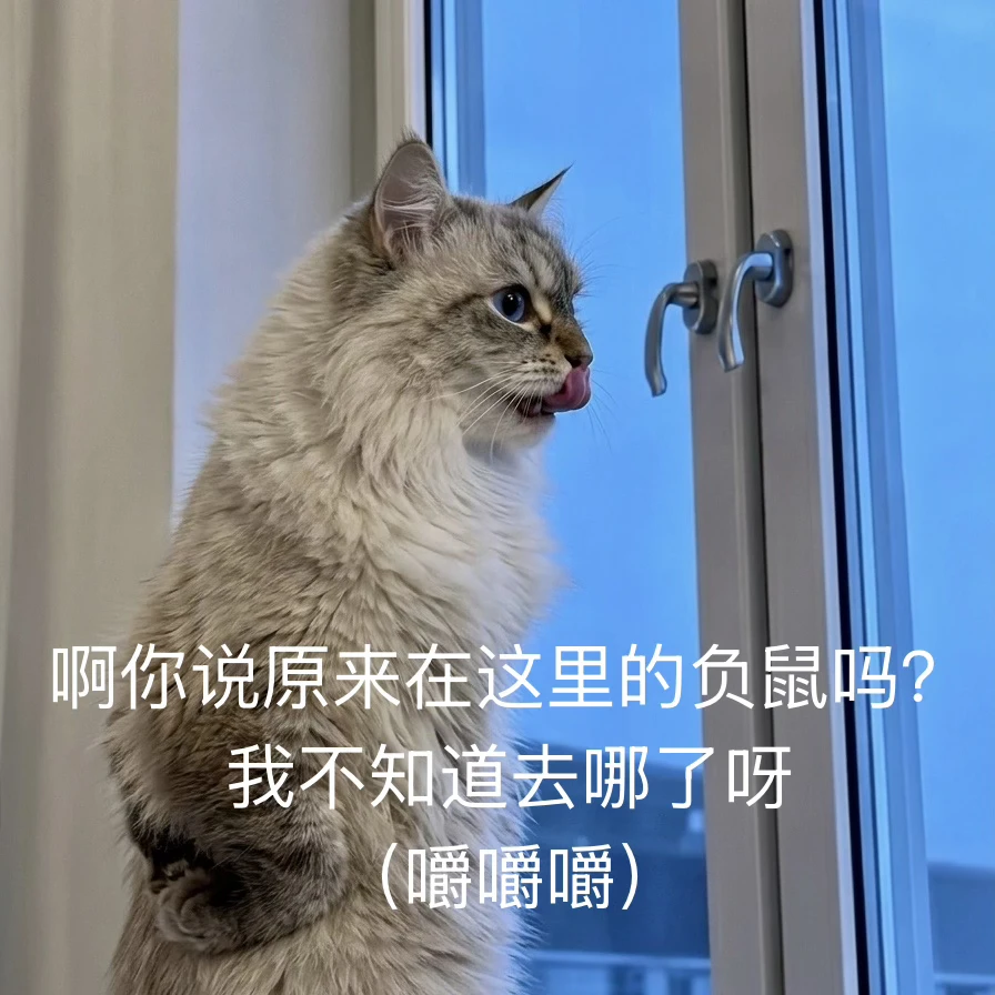 咪真的不知道负鼠去哪了呀！！！