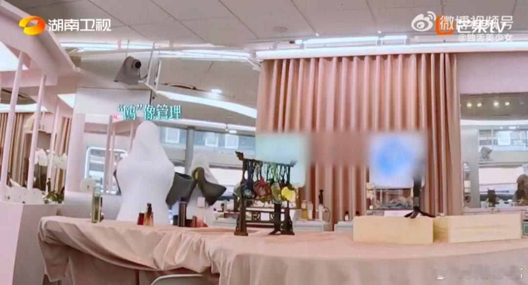 好大一只颜鸥迎宾 谁懂啊！颜安穿海鸥服当迎宾，超大一只站门口，老远就看见这只“颜