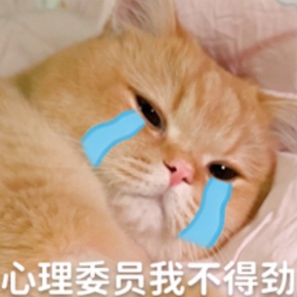 王源王源我看见两朵一样的云 渺小知音🥺🥺🥺王源演唱会cos艾莎王源宇宙超级