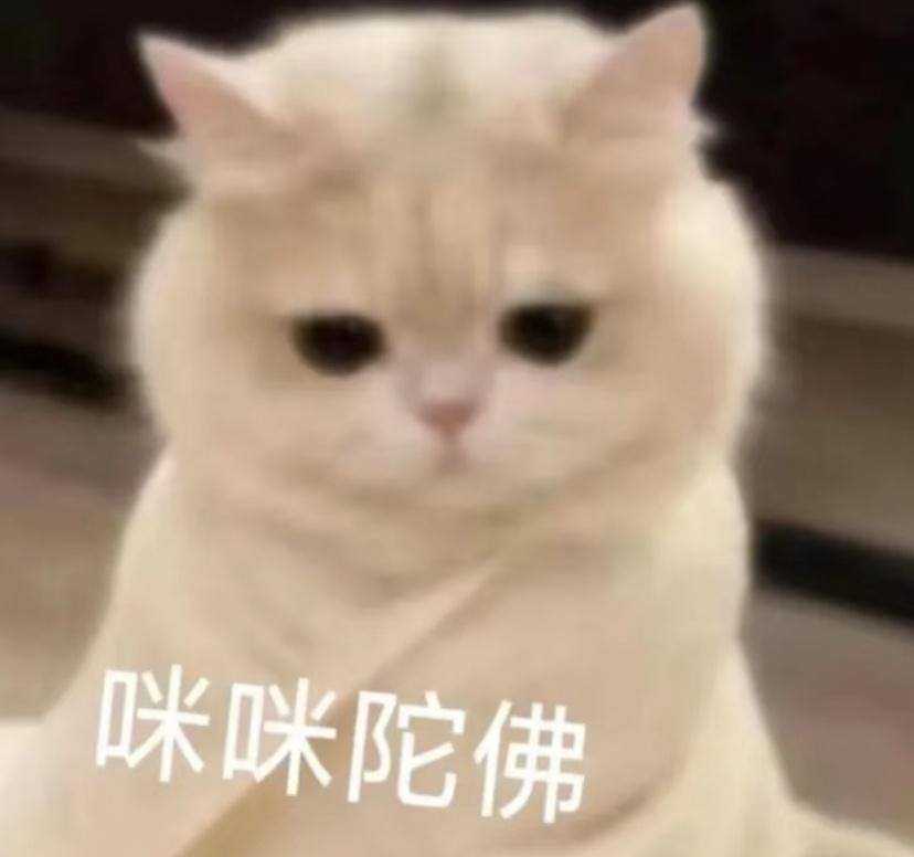 一条条稚嫩的生命就这么没了，真的太让人痛心了，只希望后续能查清原因，给遇难者家属