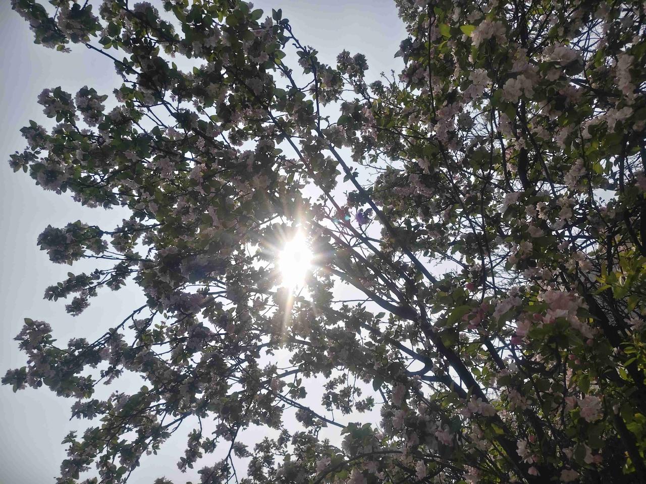 带定位晒今日生活 今日状态轻松愉快，天气还是一如既往的好，大晴天！我今儿一早用晨