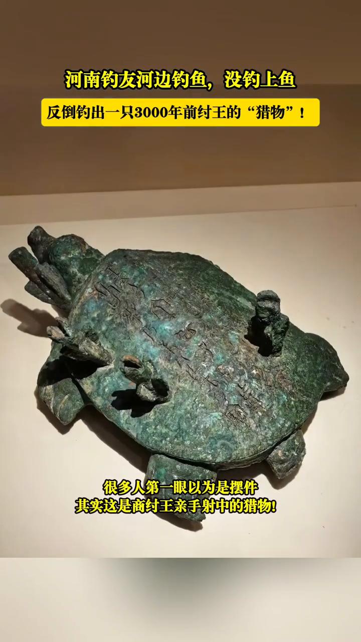 河南钓友河边钓鱼，没钓上鱼，反倒钓出一只3000年前纣王的"猎物"！
2003年